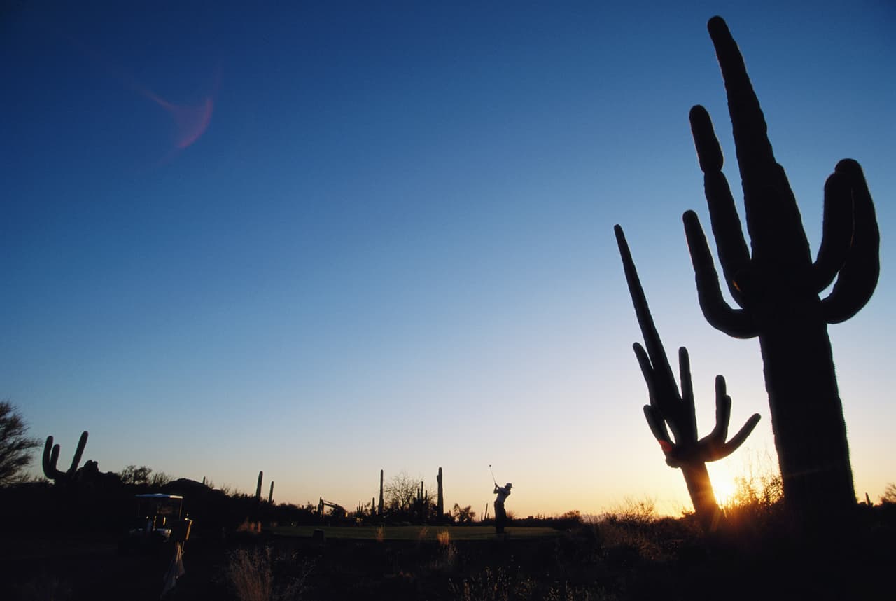 Y Arizona, aunque parezca un terreno duro, tiene muchas ventajas por encima de otros estados y una diversidad que muchos desconocen, pero que quizás seguirá atrayendo a más a mudarse acá.