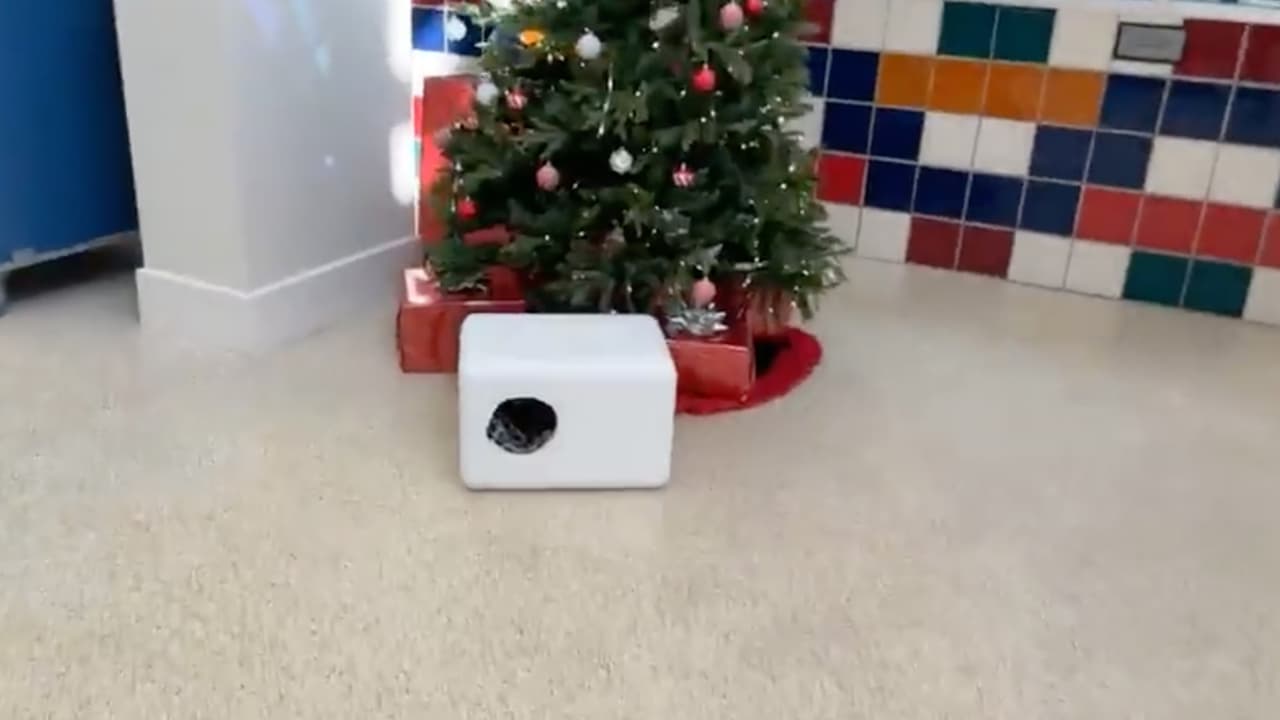 La sociedad protectora de animales de Houston está ofreciendo cajas especiales para que las mascotas estén protegidas del frío.