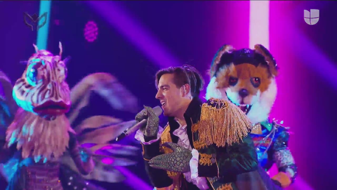 Al ritmo de ‘We Are The Champions’, Camaleón, Lechuza, Monstruo y Cebra dieron inicio a la primera gala.