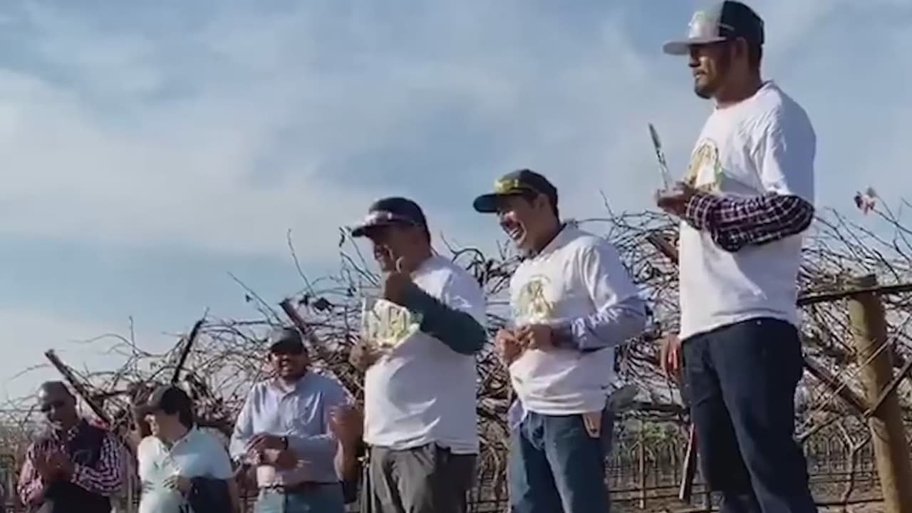 Campesinos se lucieron en concurso de poda y ganadores se llevaron hasta $1000 en premios