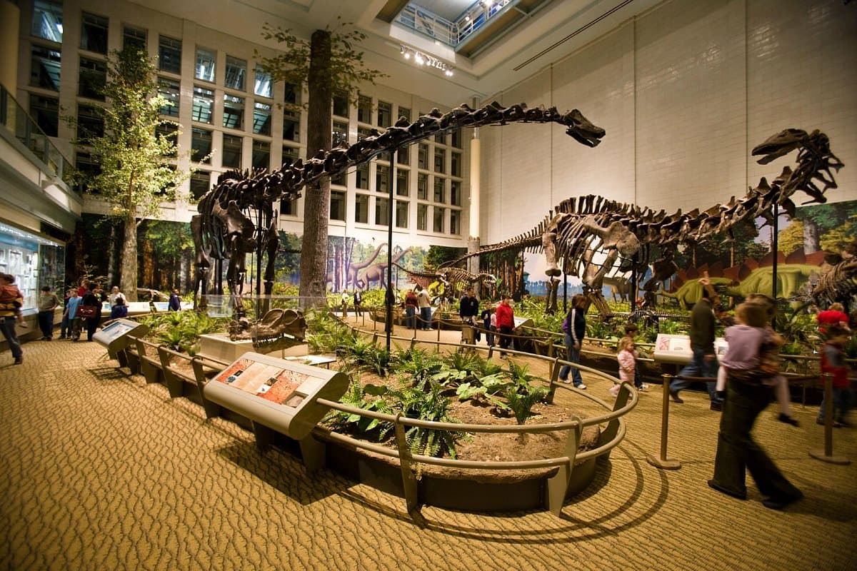 <b><a href="https://carnegiemnh.org/">Carnegie Museum of Natural History (Pittsburg)</a></b>. El Museo Carnegie de Historia Natural es el lugar para que los niños descubran la ciencia y las maravillas del mundo natural. Excava en busca de huesos en Bonehunters Quarry, ponte manos a la obra con especímenes reales y réplicas en Discovery Basecamp, muele maíz en una casa Hopi y más.
<br>
<br>
<b><a href="https://goo.gl/maps/KN9N748h1rFQxNKY9">Cómo llegar</a></b>