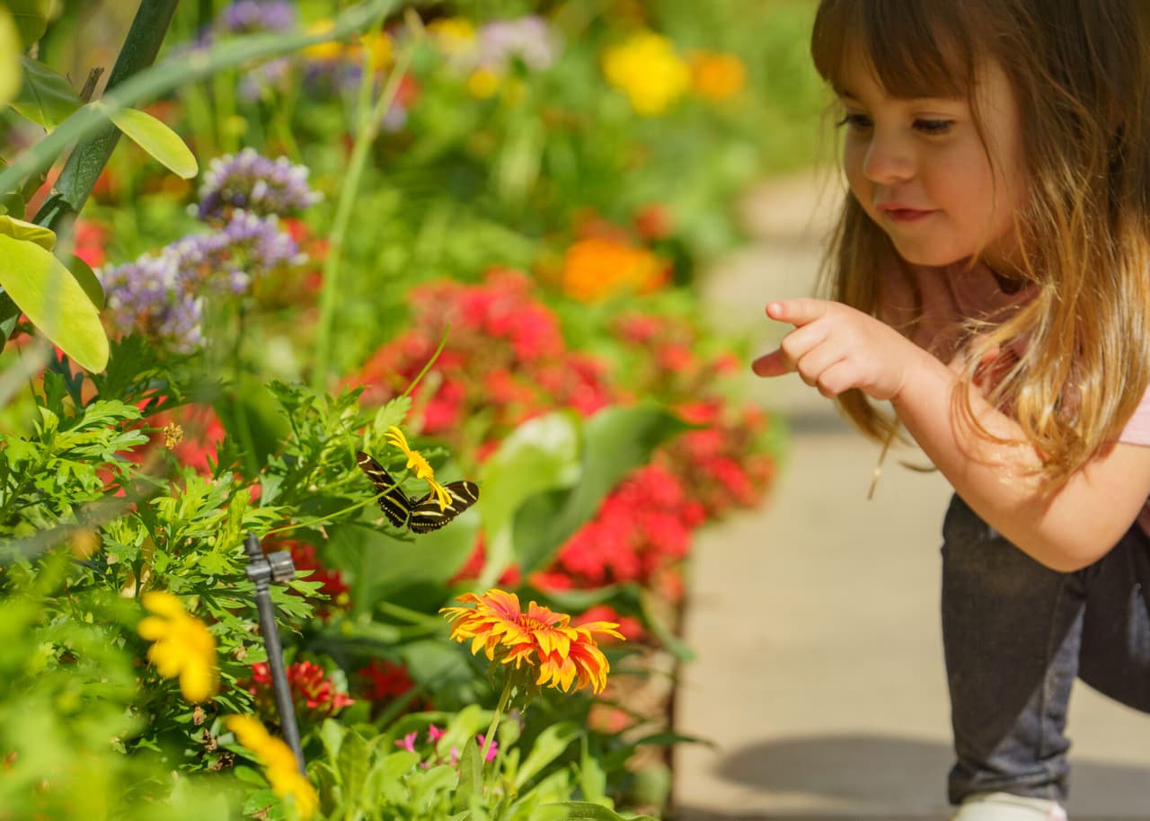 La Lotería de Arizona anunció una 
<b>asociación con el Jardín Botánico del Desierto</b>.