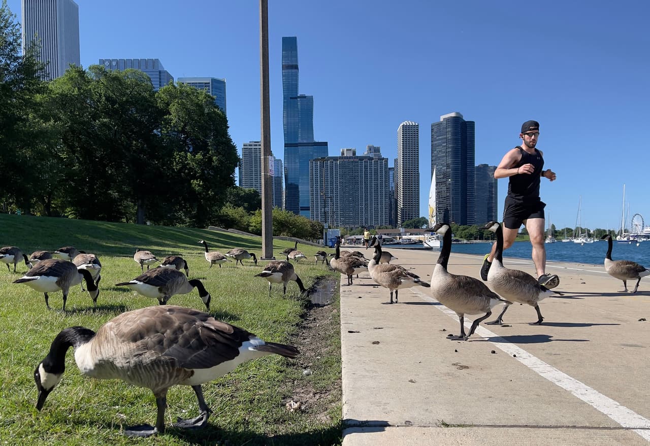 Las condiciones serán propicias para montar bicicleta o caminar por todo el 'Lakefront Trail' con 18 millas disponibles para que disfrutes de la vista de Chicago.