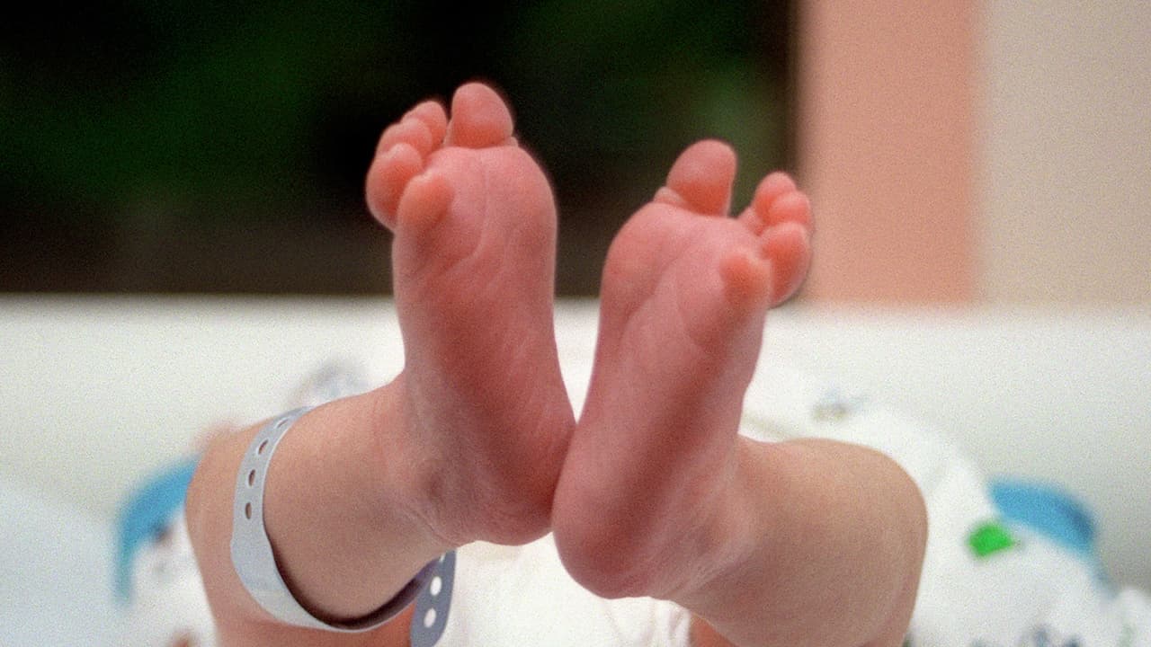 Hallan a una bebé abandonada en un contenedor de basura en Texas: tenía pocas horas de nacida