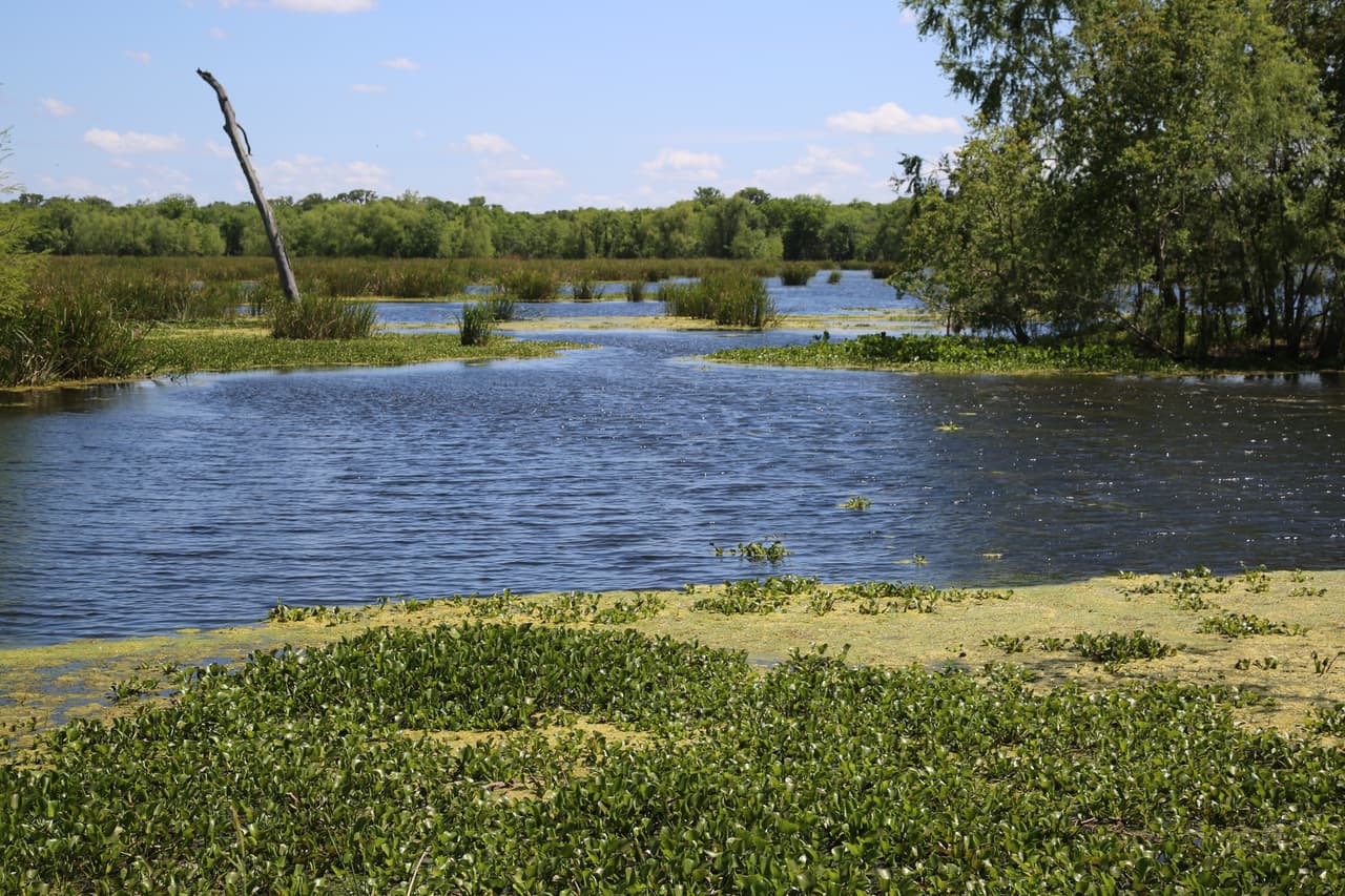 A lo largo de los senderos del parque hay asientos para que los visitantes tomen descansos o para que simplemente se detengan a admirar los paisajes.