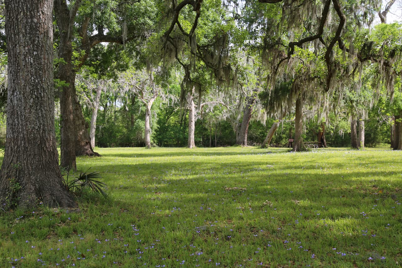 El parque Brazos Bend cuenta con áreas designadas para hacer picnics.