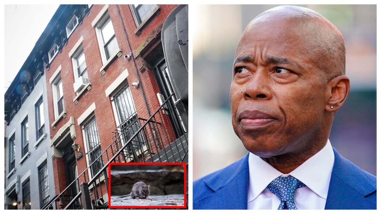 Multan a Eric Adams tras encontrarse rastros de ratas en una de sus casas