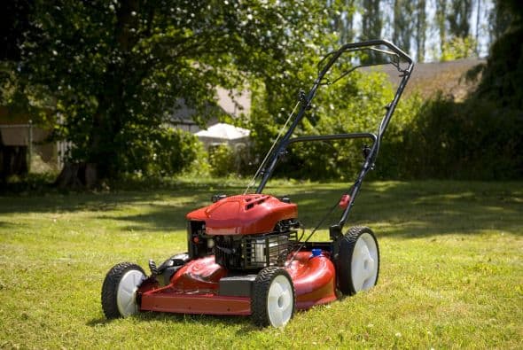 Elige la cortadora de césped ideal para tu jardín 