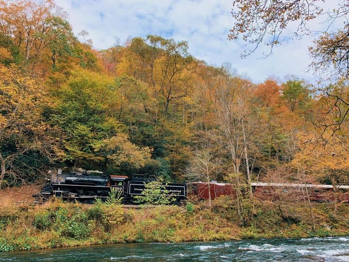 <b><a href="https://www.gsmr.com/train-excursion/Nantahala#.VcTYYvldWSp " target="_blank">Nantahala Gorge Excursion</a></b>: Esta excursión de ida y vuelta de 4 horas y media en dirección oeste te lleva a 44 millas hasta el desfiladero de Nantahala y viceversa. Viaja por los ríos Little Tennessee y Nantahala a través del lago Fontana y adéntrate en la magia del desfiladero de Nantahala.