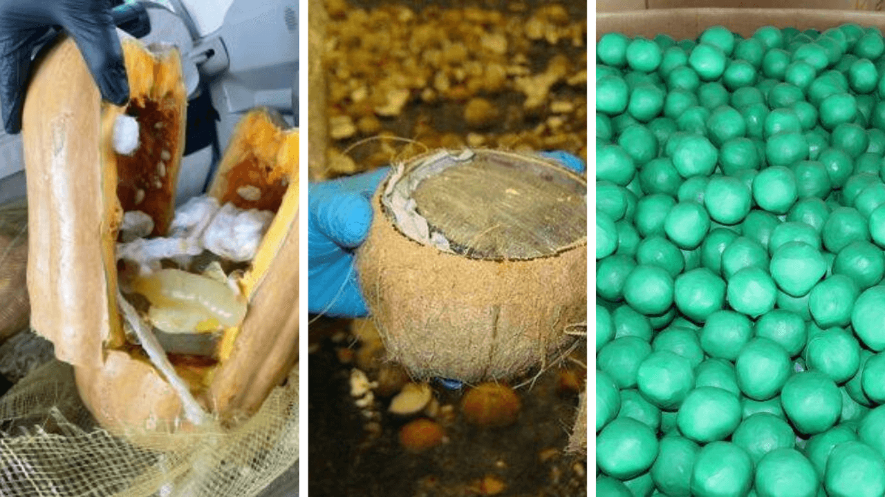 En calabazas, cocos y limones falsos: autoridades descubren formas de cruzar droga