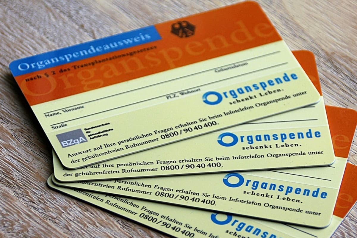 <b>Proyecto de ley 3516:</b> Los empleados tendrán hasta 10 días de licencia remunerada en cualquier período de 12 meses para servir como donantes de órganos.