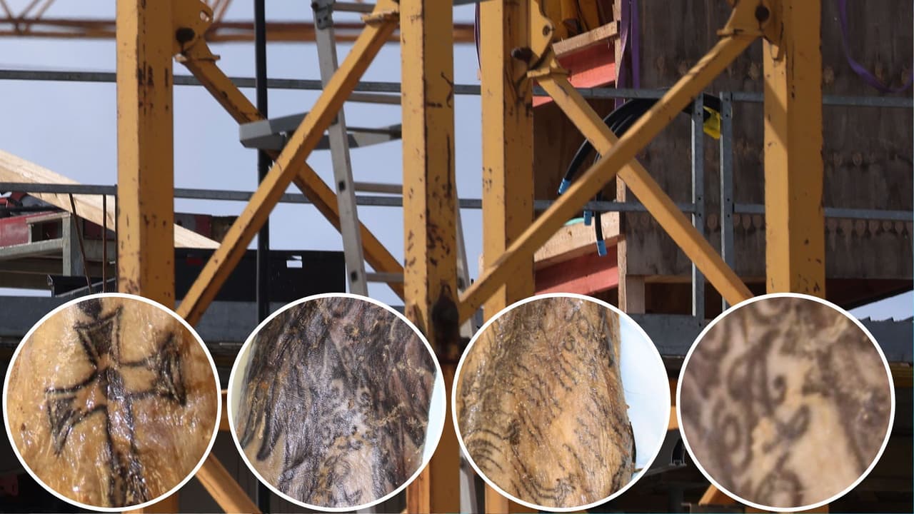 Trabajadores de la construcción hallan a un hombre hispano muerto: publican fotos de sus tatuajes para identificarlo