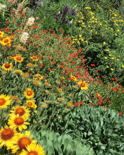 Y quedó maravillada con la belleza natural de este hermoso lugar.