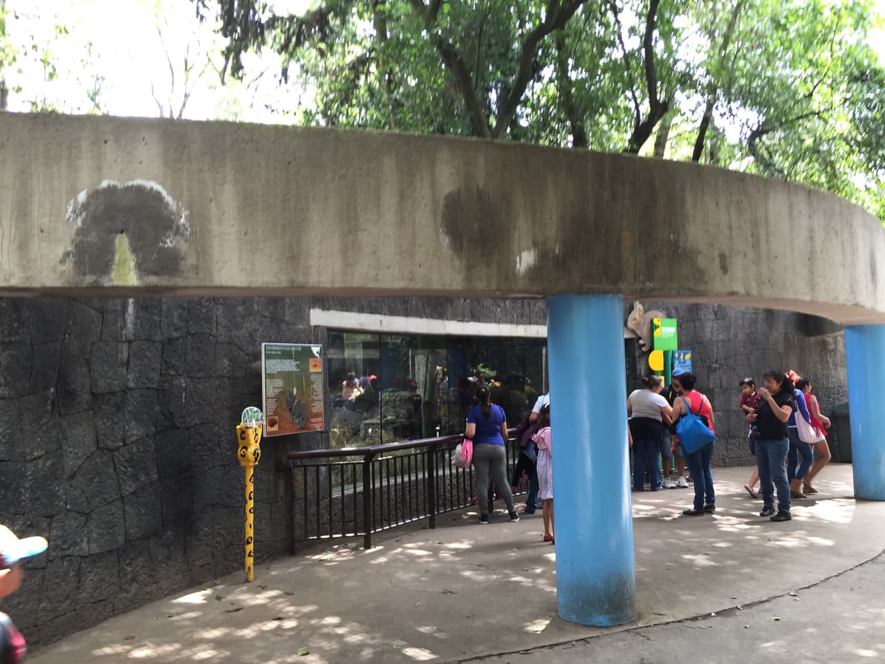 El estado de humedad de esta marquesina.