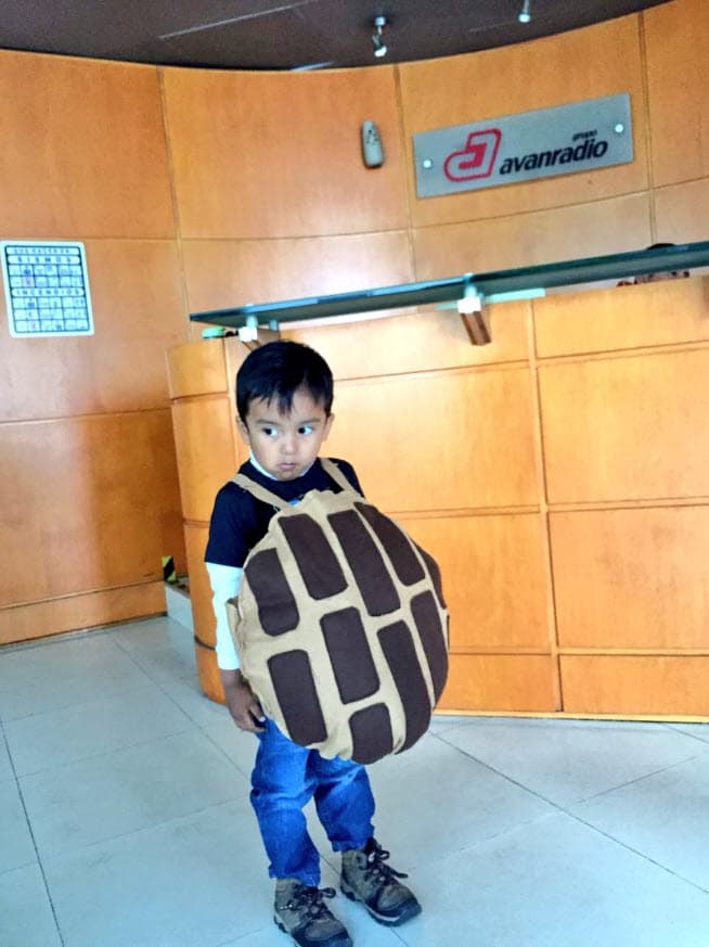 Ricardo Ibarra Barrera será recordado por miles de personas como el simpático 'niño concha'.