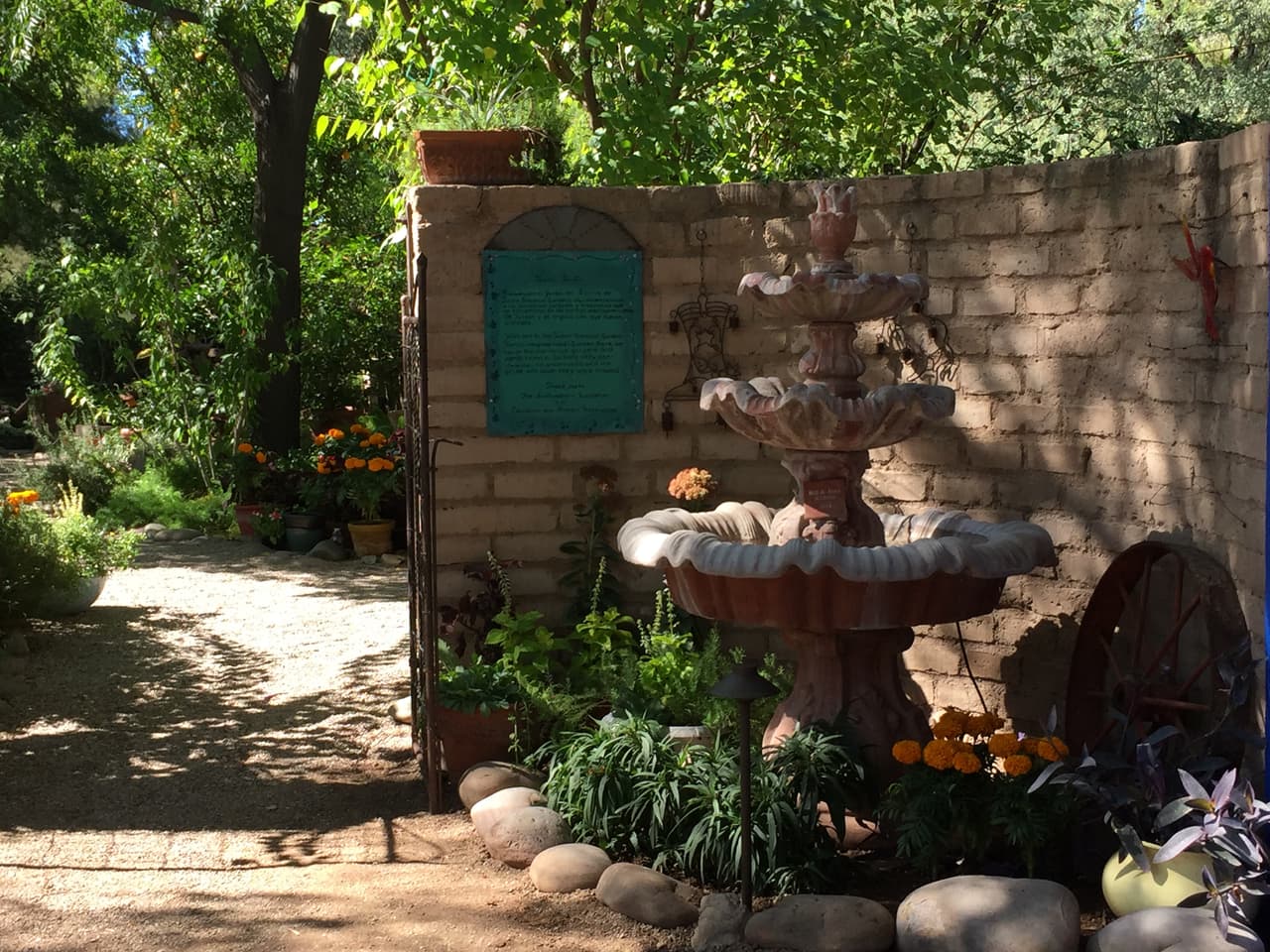 Jardines, color y arte en la exhibición de Frida Kahlo en Tucson