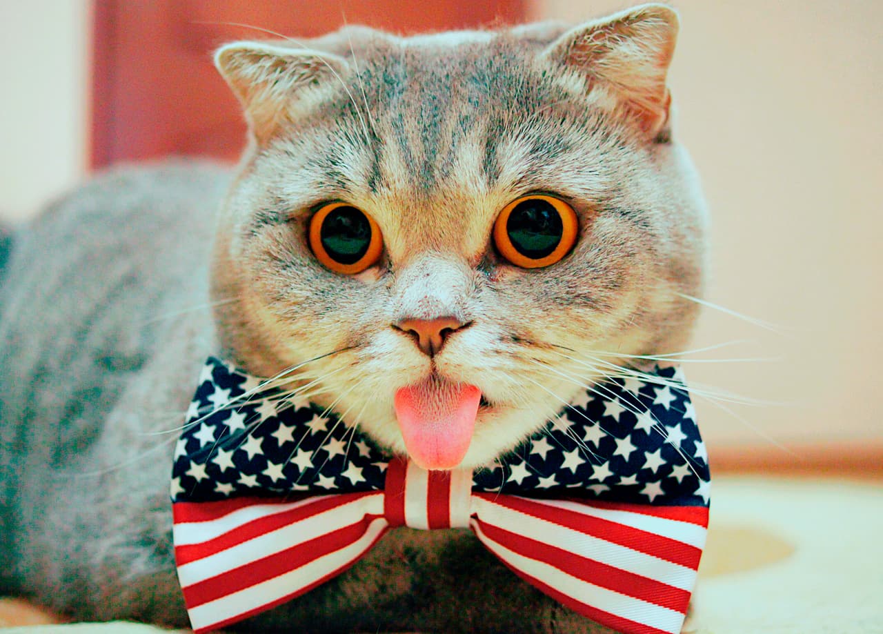 Melissa suele ponerse muy patriótica de vez en cuando.