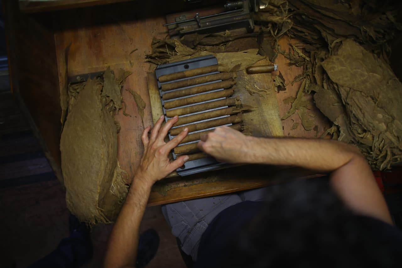 Las manos de los torcedores en Ybor City mantienen viva una tradición centenaria heredada de Cuba. Cada hoja de tabaco es seleccionada, doblada y enrollada cuidadosamente para crear puros artesanales elaborados sin procesos industriales.
