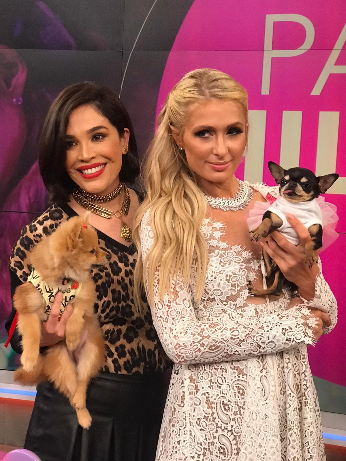 "¿Hay algo qué te haga falta en la vida?", cuestionó Karla a la diseñadora de su propia marca de artículos de moda y belleza, y ella respondió sinceramente que "se siente muy bendecida" con lo que hace: "me enorgullece el negocio y la marca que he creado y eso me hace muy feliz, el crear productos, viajar por el mundo, ser DJ y entretener a mis fans".