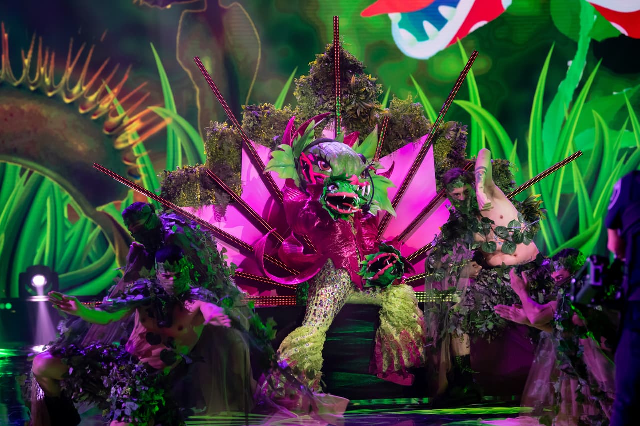 El segundo cuádruple combate estuvo encabezado por Carnívora, Gitana, Leona y Perezoso.