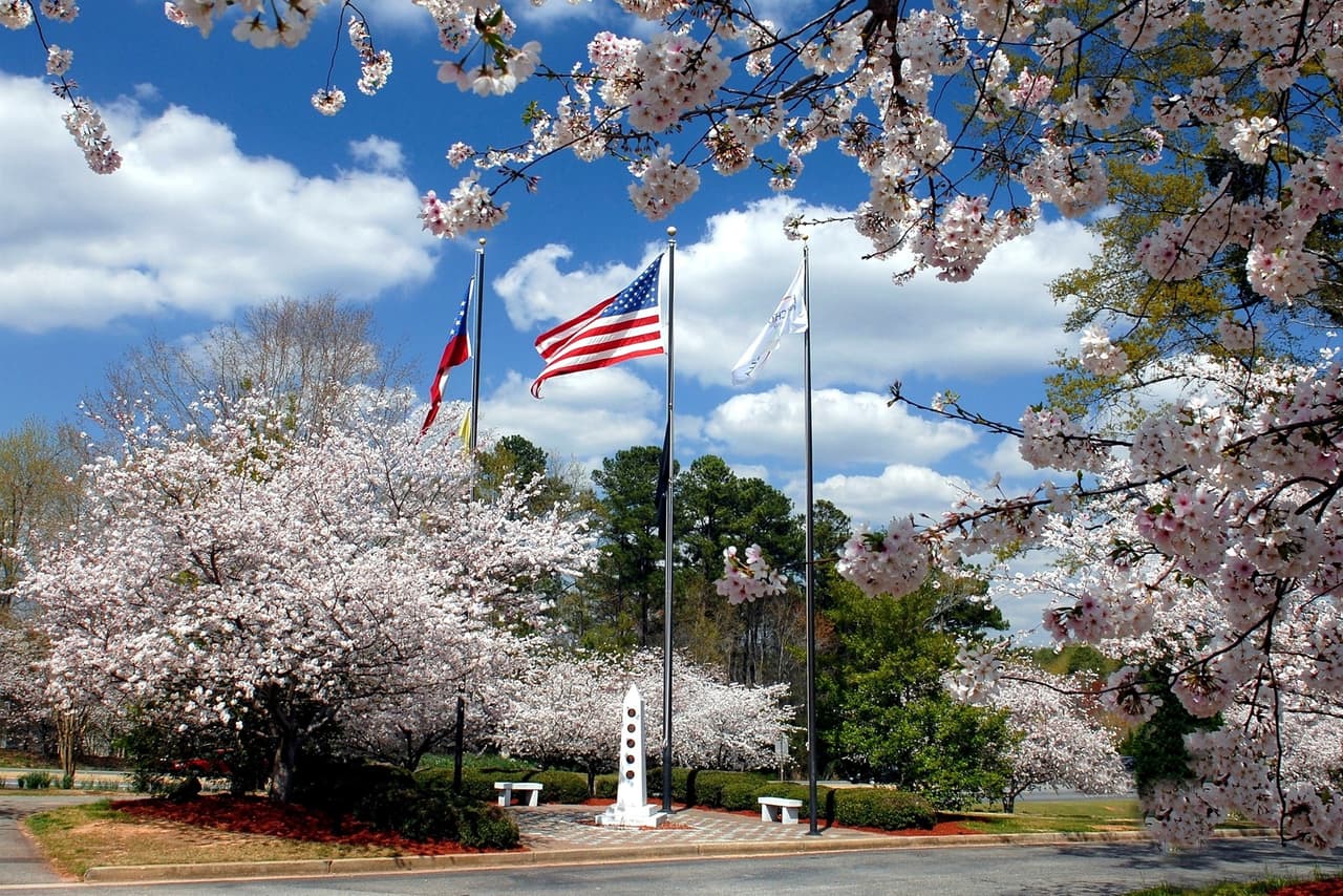 En el caso de las ciudades pequeñas,
<b><a href="https://goo.gl/maps/3M61afpHVzn1m2tw6">Peachtree City</a></b> es la más segura de Georgia, ya que aquí cada habitante sólo pierde unos 116 dólares debido a la criminalidad.