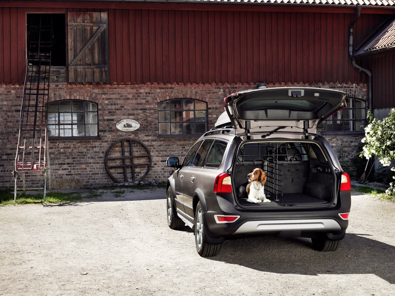 <b>Viajes largos:</b>
<br>
<br>Si el trayecto es lago (varias horas), es recomendable planear paradas cada dos horas, de lo contrario el animal podría sufrir de ansiedad, se pondrá nervioso y afectará tu estado de ánimo como conductor.