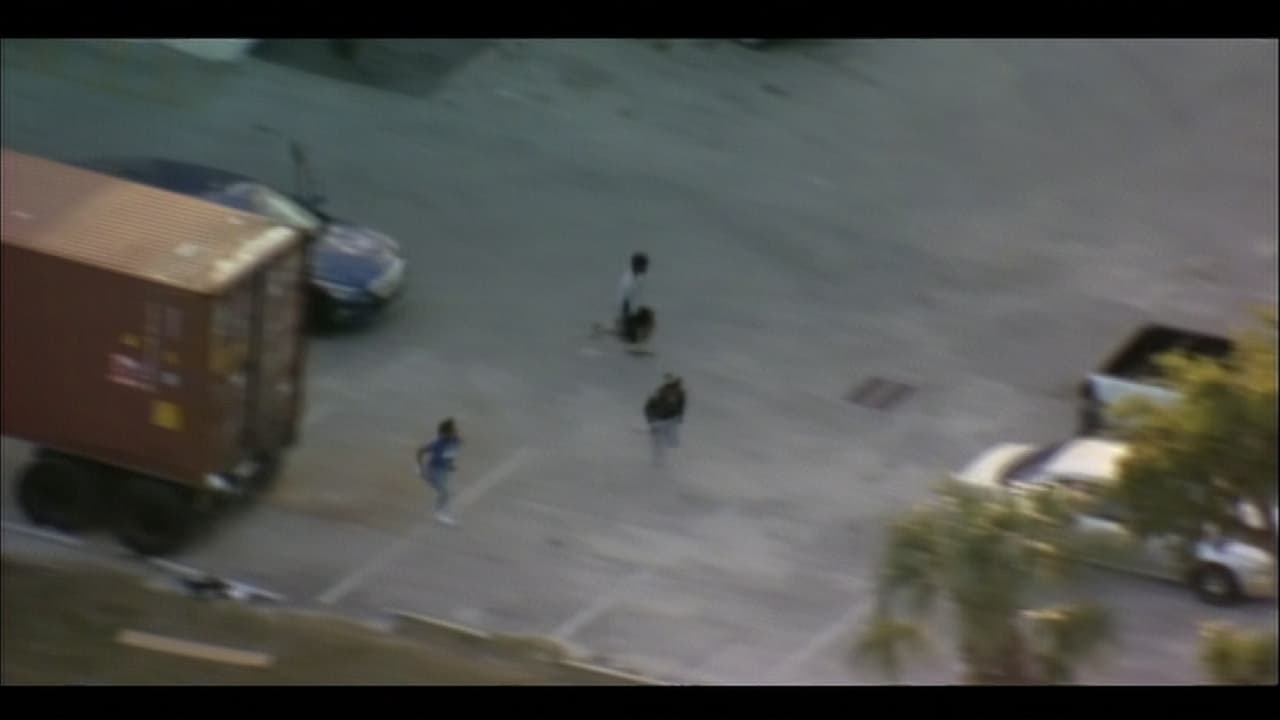 Dos detenidos tras persecución policial en Oakland Park