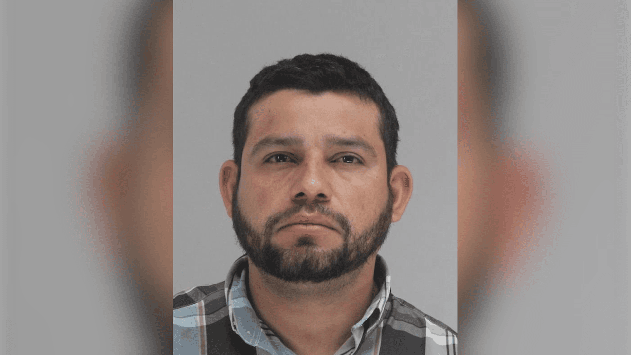 Arrestan a sospechoso de dispararle a un perro que cuidaba un negocio en Dallas