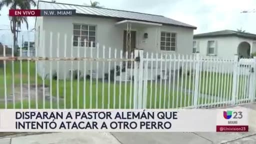 Un hombre disparó a un pastor alemán que atacó a su perro