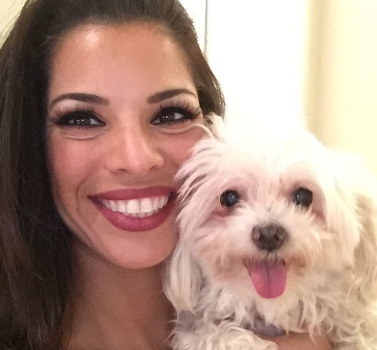 Presentadores, locutores y fans de Univision Chicago compartieron fotos de sus perros para festejarlos en su día. ¡Guau!