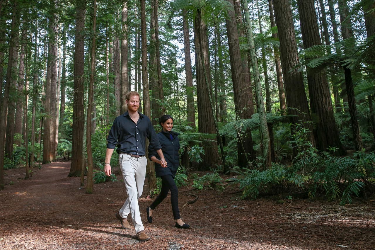 Mientras se relajaban con una 
<b><a href="https://www.univision.com/famosos/el-principe-harry-se-pasa-haciendo-largas-caminatas-en-una-exclusiva-isla-canadiense-fotos">caminata en el bosque</a></b> el día de Año Nuevo, los duques de Sussex sorprendieron a una pareja local que se encontraba en su camino.