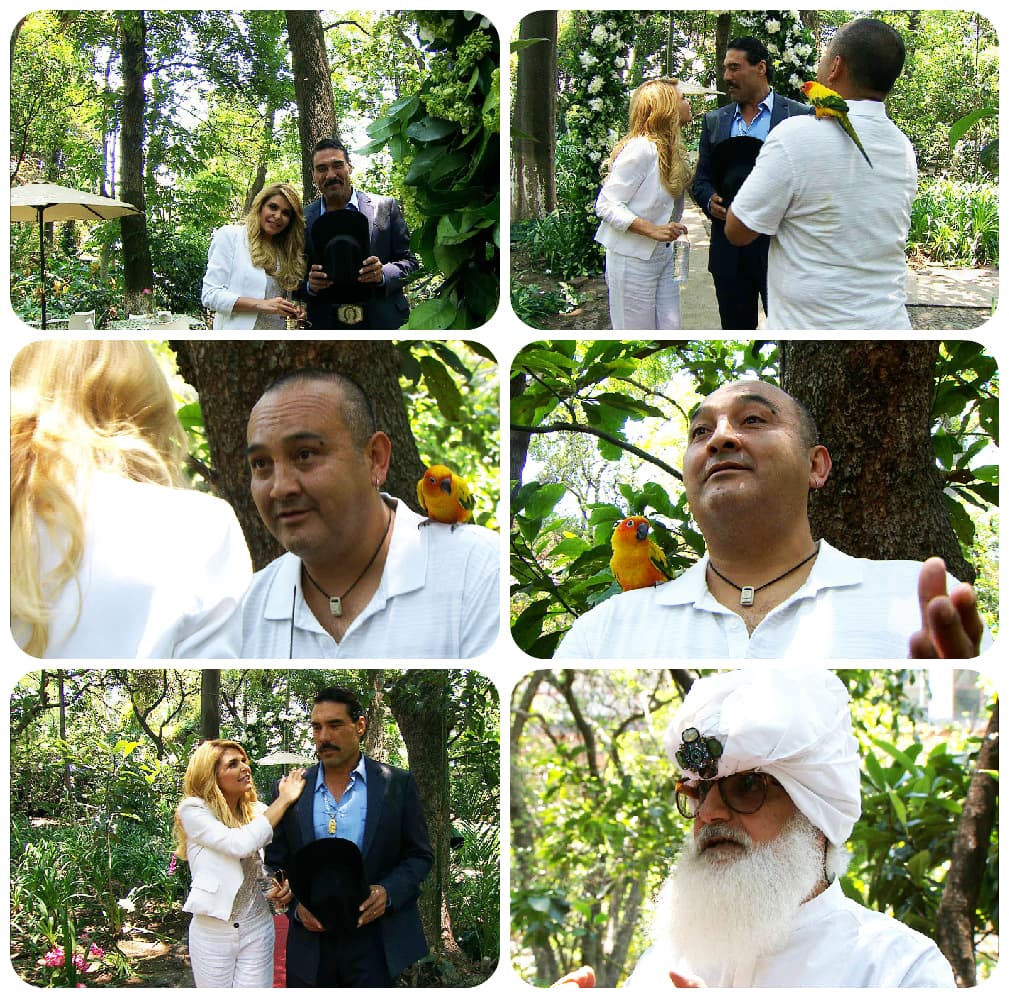 ¡Lástima! Se va a quedar con las ganas de amarte.