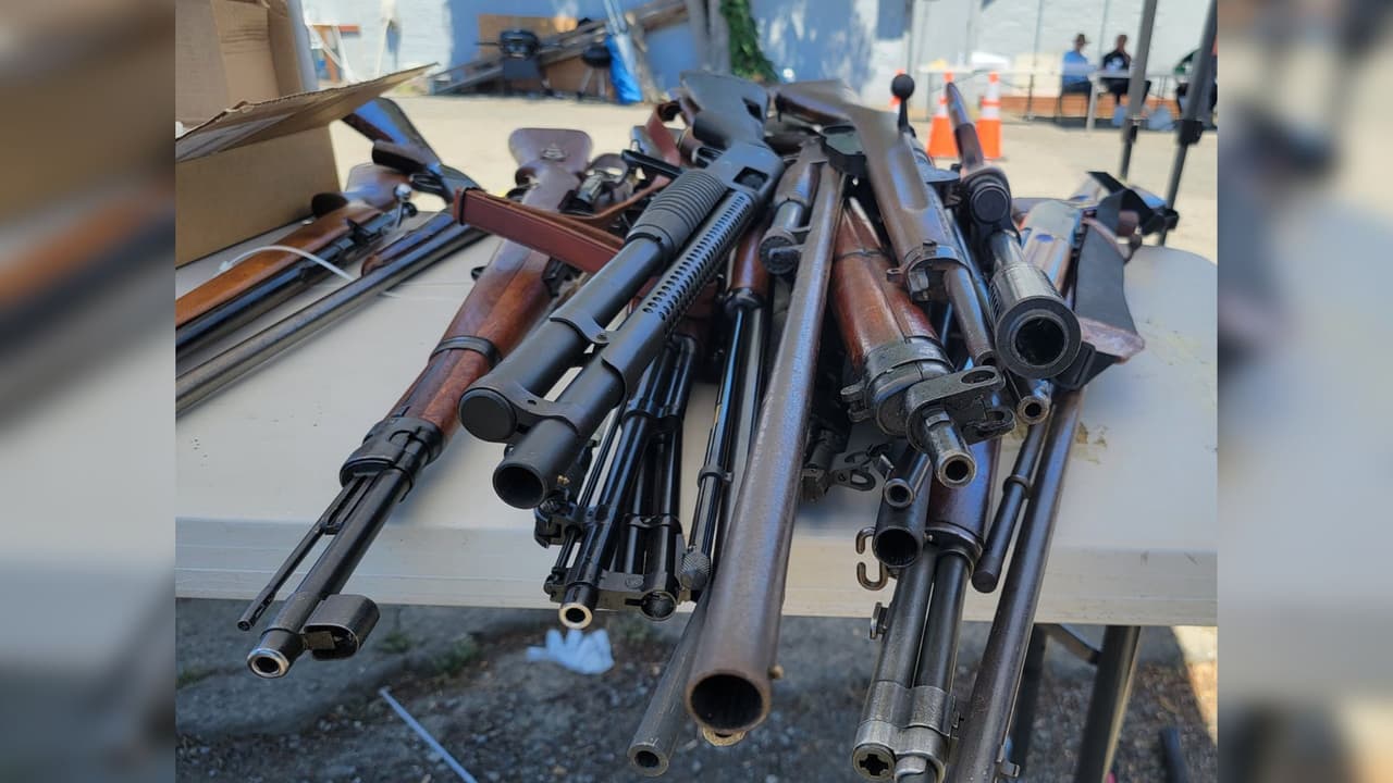 En total se entregaron 131 armas de fuego y se dieron más de $10.000 en tarjetas de regalo. Las primeras personas en entregar sus armas recibieron además herramientas de jardinería.
<br>