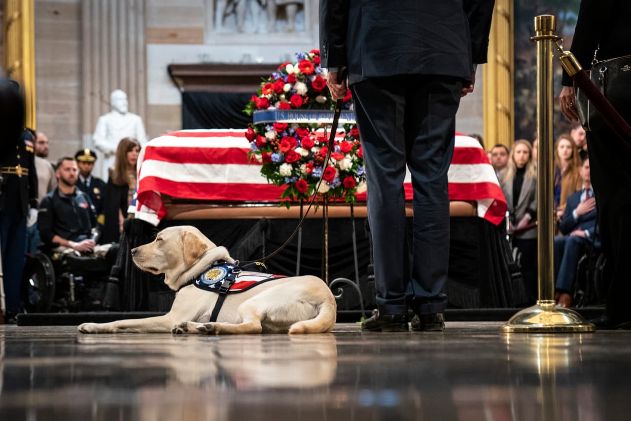 <b>Adiós al mejor amigo. </b>Sully, el perro labrador dorado de dos años que acompañó a George H.W. Bush durante sus últimos meses de vida, fue uno de los protagonistas en los actos en honor a su amo. Viajó a Washington DC en el Air Force One con los restos de Bush y su familia para el funeral de estado y estuvo en la Rotonda del Capitolio, donde miles de estadounidenses dieron el último adiós al expresidente. 4 de diciembre de 2018.