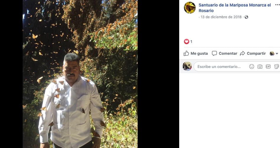 Encuentran el cuerpo sin vida del activista Homero Gómez defensor de la mariposa monarca