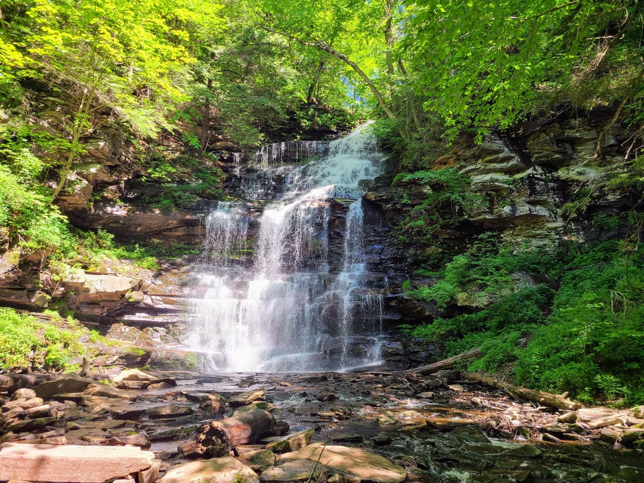 Con una caída de 94 pies, Ganoga Falls es la más alta de las 22 cascadas con nombre en el parque estatal Ricketts Glen. 
<br>
<br>
<b><a href="https://goo.gl/maps/T1zDZ15PUmBYGRzU7">Cómo llegar</a></b>