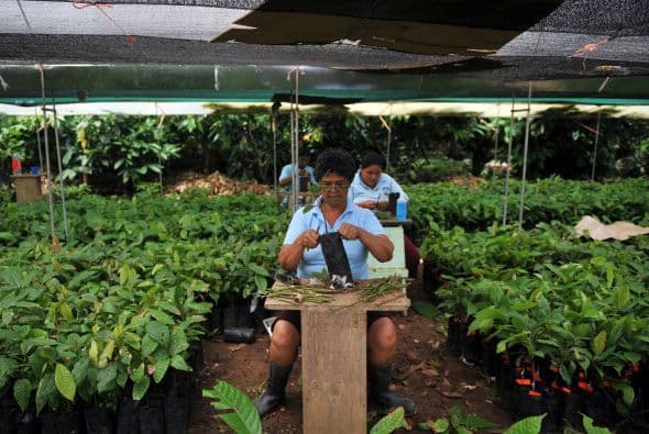 9. COSTA RICA. Alcanza el 34%.