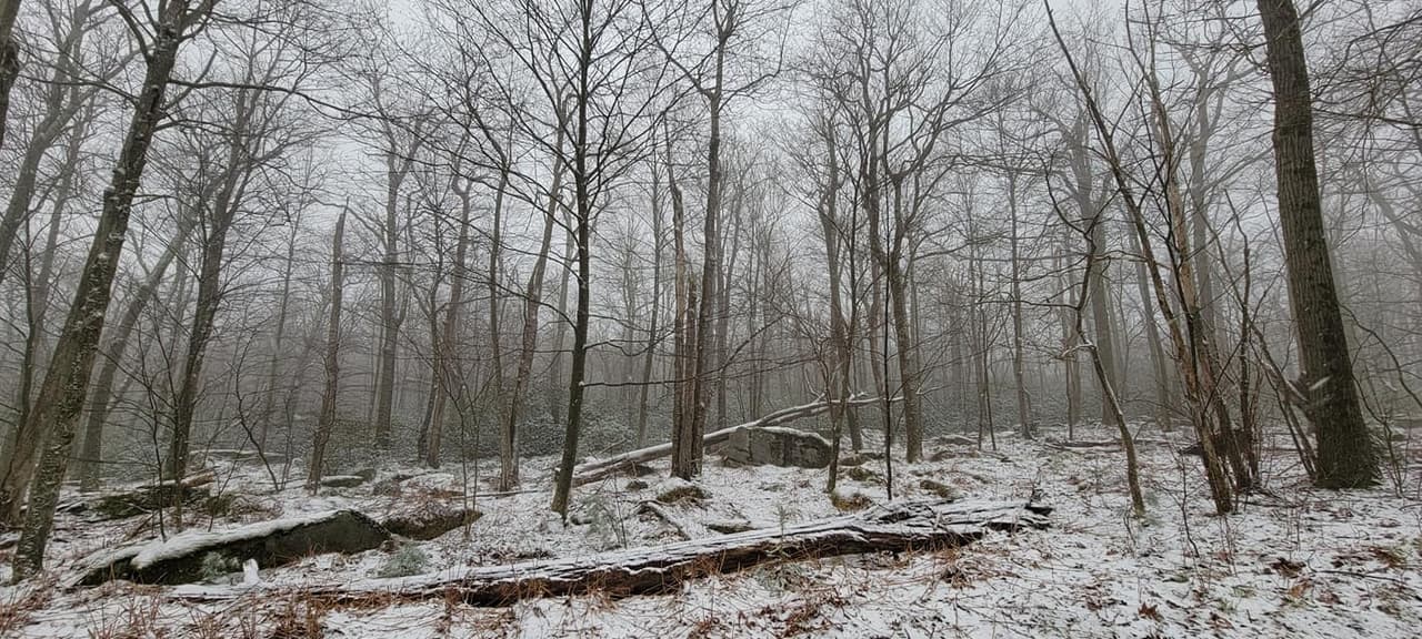 <b>Mount Davis. </b>Si bien puedes quedarte en el estacionamiento y simplemente caminar hasta la torre de observación cercana, que ofrece vistas panorámicas del Monte Davis, el punto más alto de Pensilvania, es posible que también desees emprender una aventura de invierno. El sendero Mount Davis Highpoint de 5.4 millas serpentea a lo largo de un camino cubierto de nieve. Cualquiera que sea la forma en que llegues a la torre de observación, prepárate para subir con cuidado las escaleras, que pueden estar resbaladizas y heladas después de una nevada.
<br>
<br>
<b><a href="https://goo.gl/maps/FESfXKQzczDxC1in6">Cómo llegar</a></b>