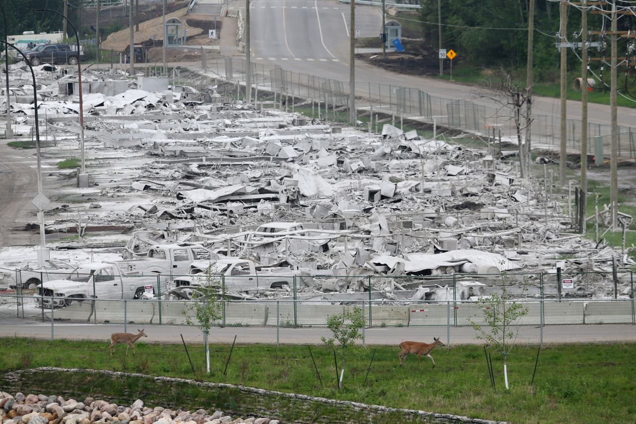 El incendio forestal quemó más de 1,5 millones de acres al este de la ciudad y destruyó alrededor de 2.400 casas y otros edificios.