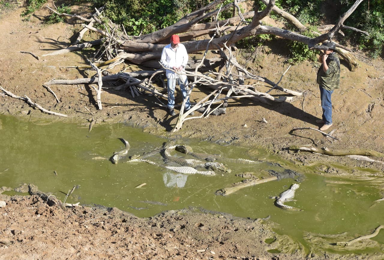 La laguna de Agropil, situada en la provincia occidental de Boquerón, es sólo uno de muchos tramos del río Pilcomayo con gran cantidad de cadáveres de caimanes, peces y otras criaturas del río.