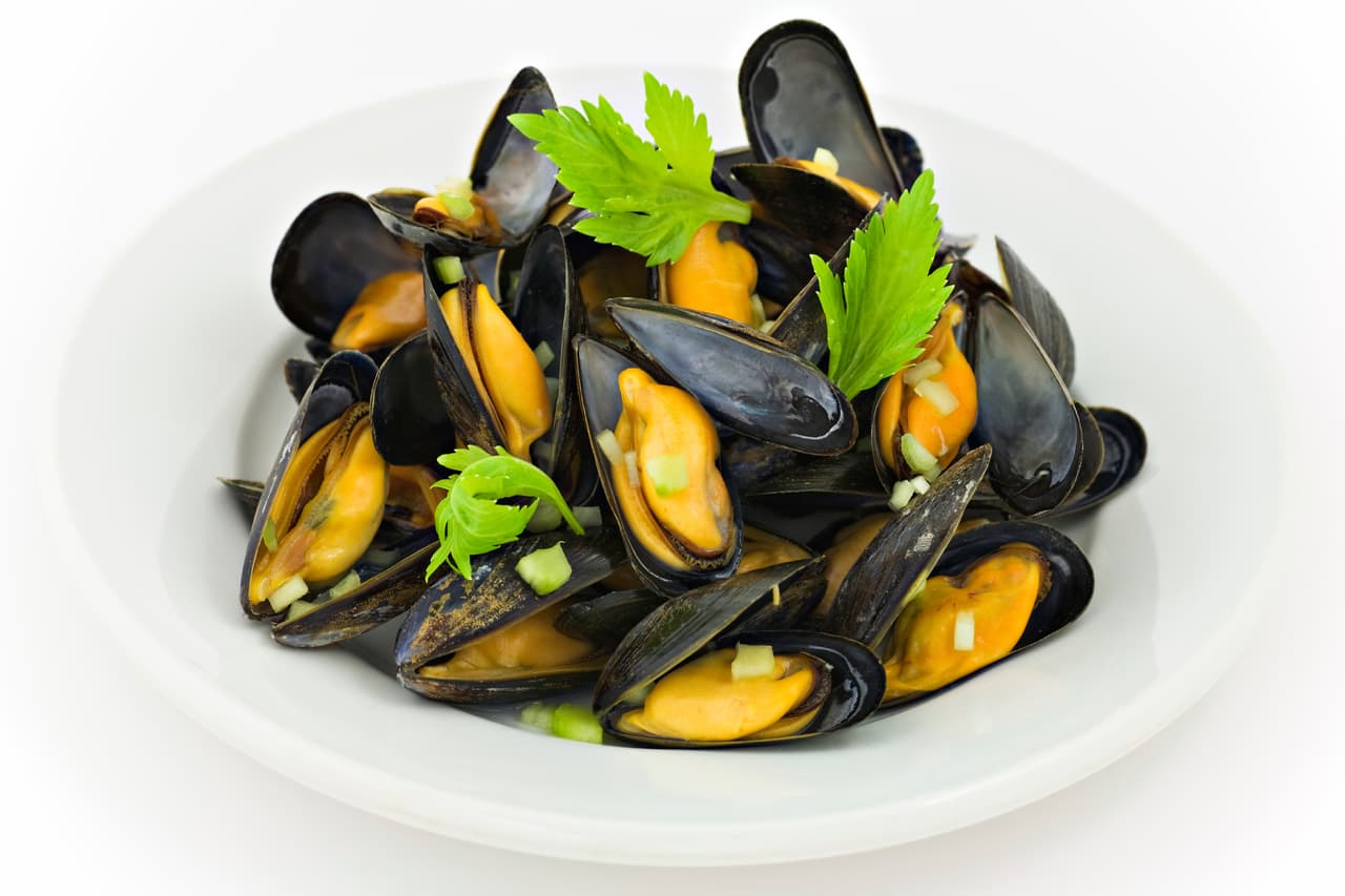 Las ostras y almejas usualmente se comen crudas, pero si decides cocerlos, recuerda que los mariscos vivos siempre deben de echarse cuando el agua está fría, y los muertos cuando el agua está caliente.