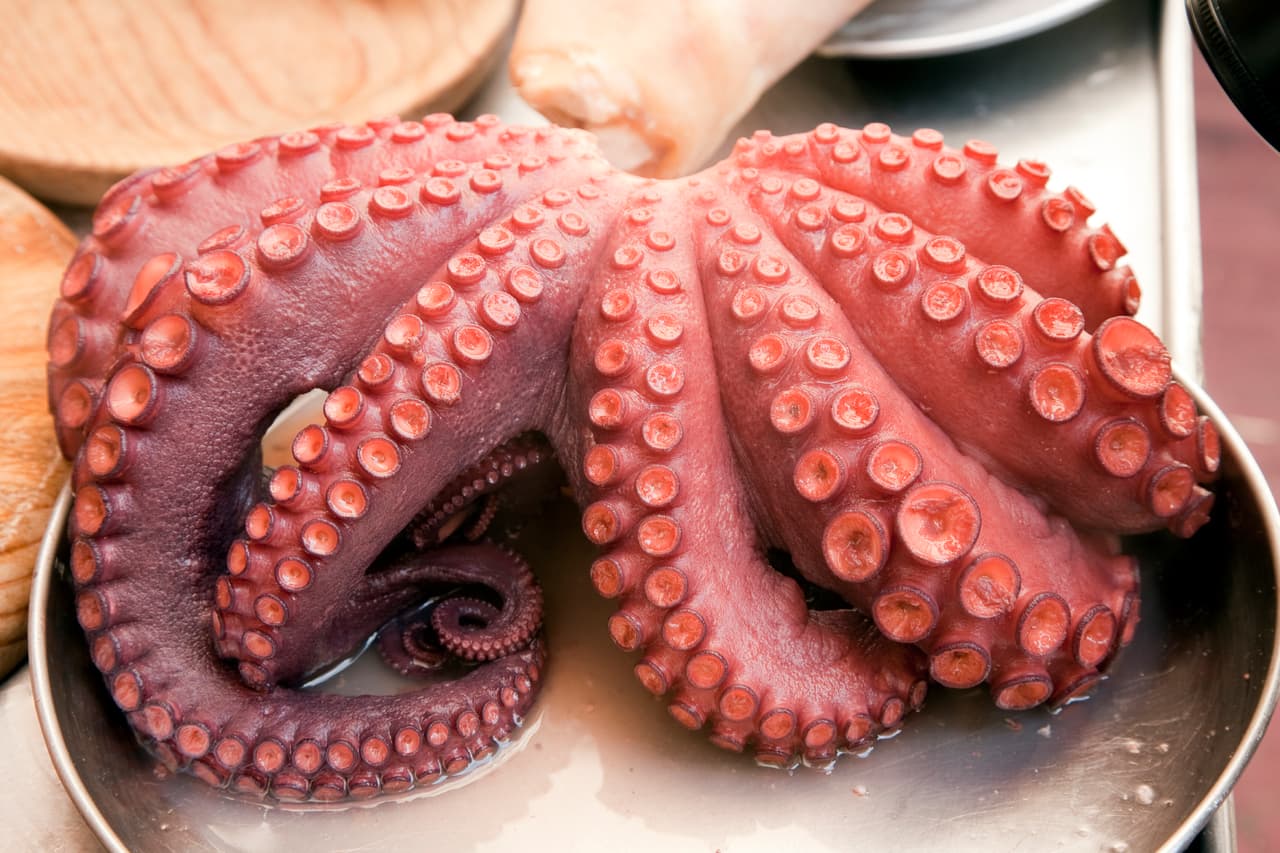 Procura meter el pulpo a la olla cuando el agua ya esté a punto de hervir para evitar dañar el color del pulpo. Normalmente la cocción de un pulpo promedio tarda de 20 a 25 minutos, pero esta puede variar dependiendo el tamaño y las cantidades. Es recomendable no cocer con sal, ya que esta se agrega cuando se va a servir o preparar el platillo.