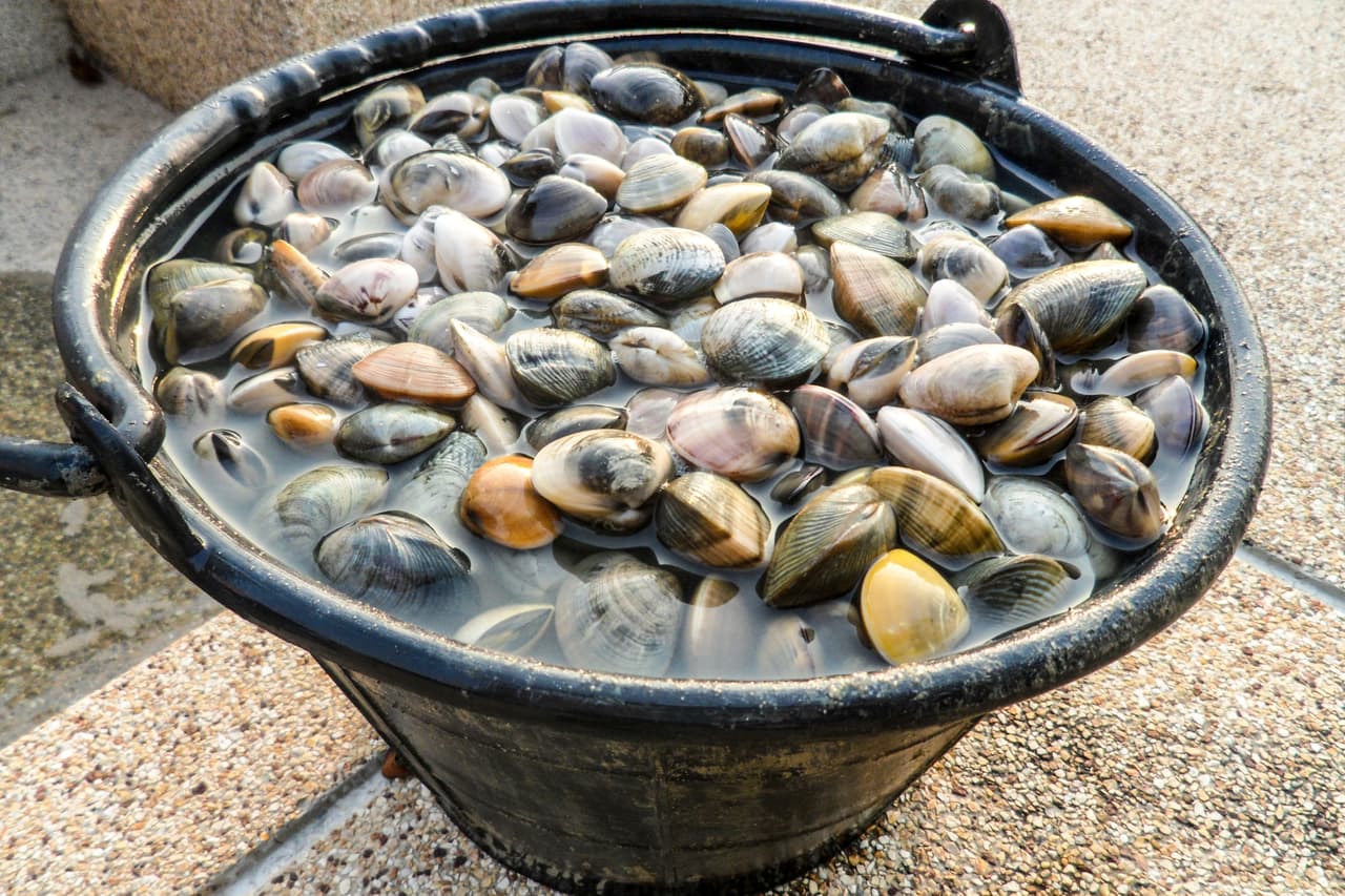 La razón de esto es sencilla: si el animal está vivo soltará las patas al notar que el agua está hirviendo, por lo cual estas extremidades se separarán y el agua se meterá haciendo que el sabor del marisco se pierda. En cambio si el marisco está muerto, puede cocerse de más y deshacerse. Lo mismo aplica para los demás crustáceos.