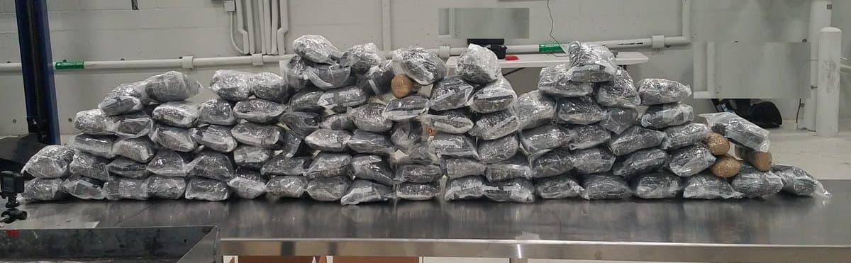 Una joven estadounidense residente de Atlanta, Georgia, fue arrestada a finales de junio mientras intentaba ingresar al país con casi 200 libras de droga por la frontera con México, informaron las autoridades esta semana. El incidente fue el primero de dos que se registraron en el mismo punto de revisión en cuestión de horas y que dejaron más de 4 millones de dólares en narcóticos incautados.