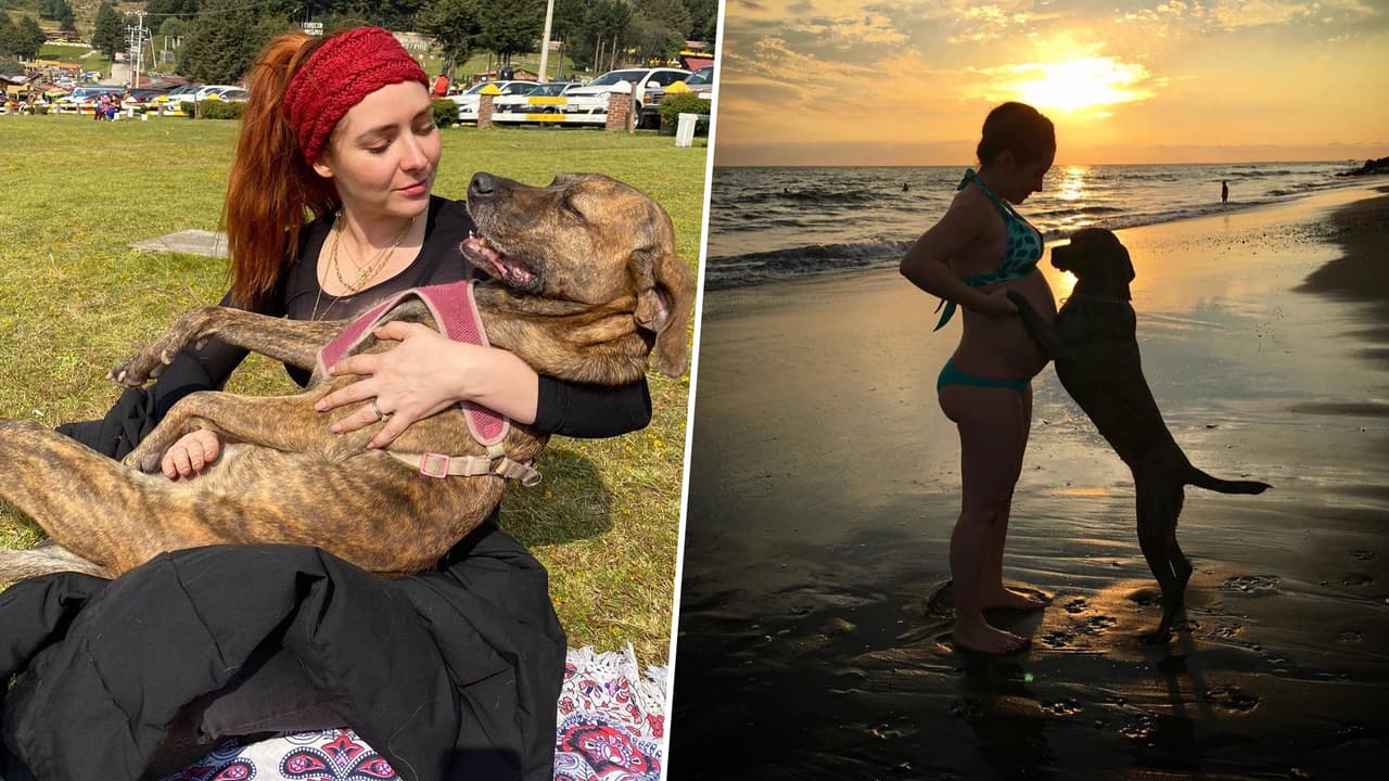 Un cocodrilo se comió al perro de Ariadne Díaz y ella misma contó la desgarradora historia
