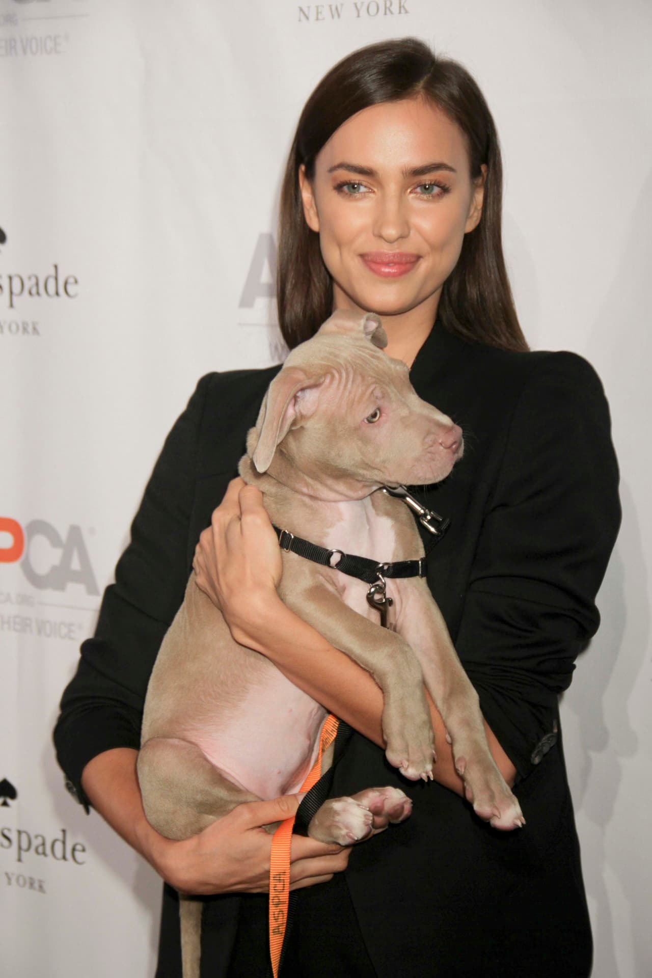 ¿Será que el perrito está pensando en lo suertudo que es al estar en sus brazos?