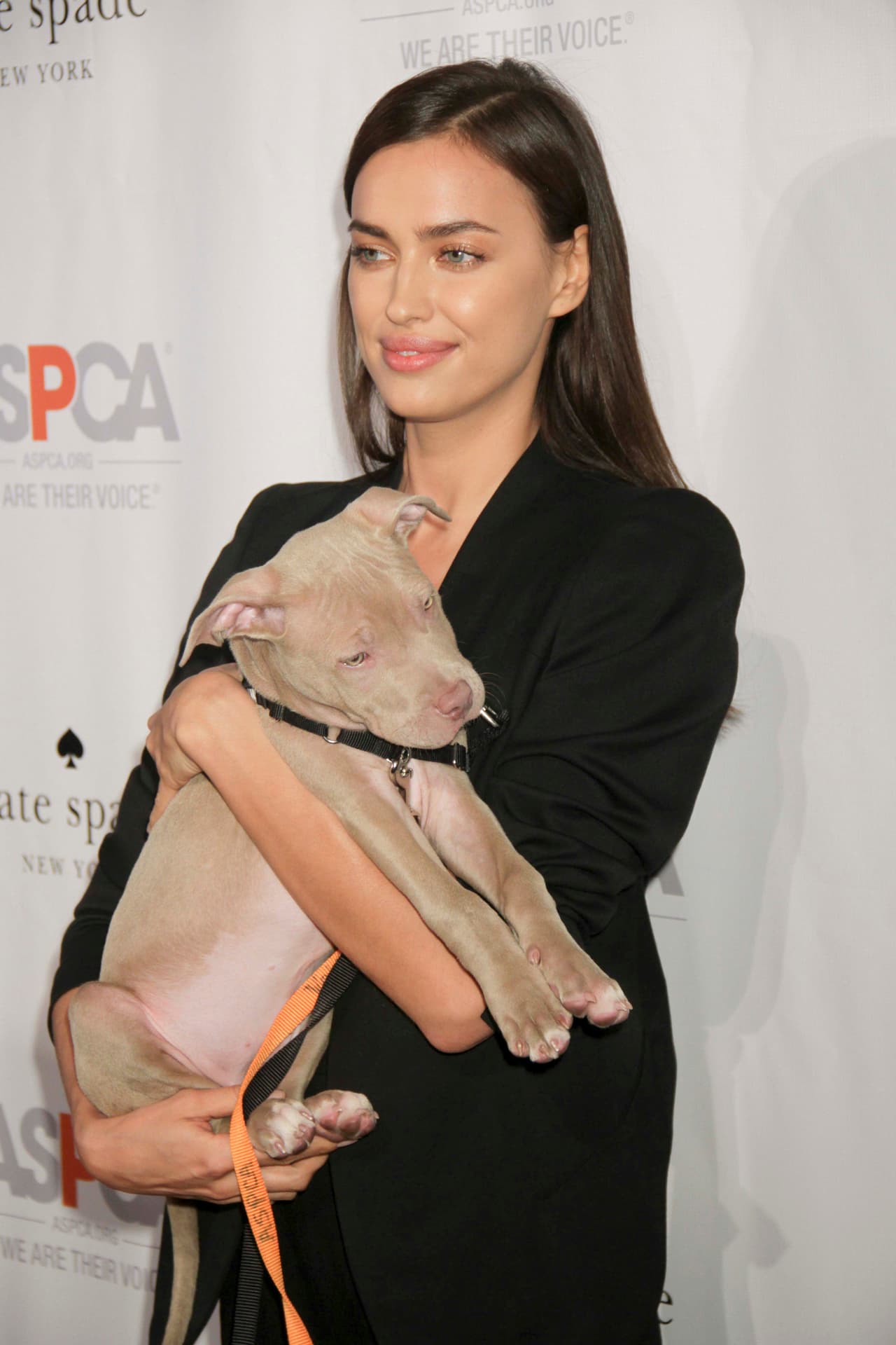 La hermosa modelo rusa está en constante contacto con asociaciones y organizaciones a favor de los animales.