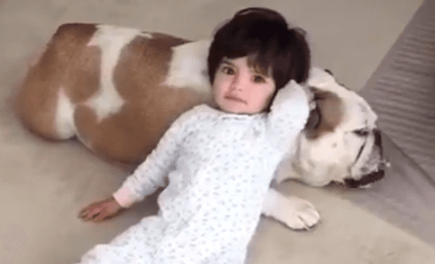 Eugenio Derbez recuerda tiernos momentos de Aitana y su perrita Fiona