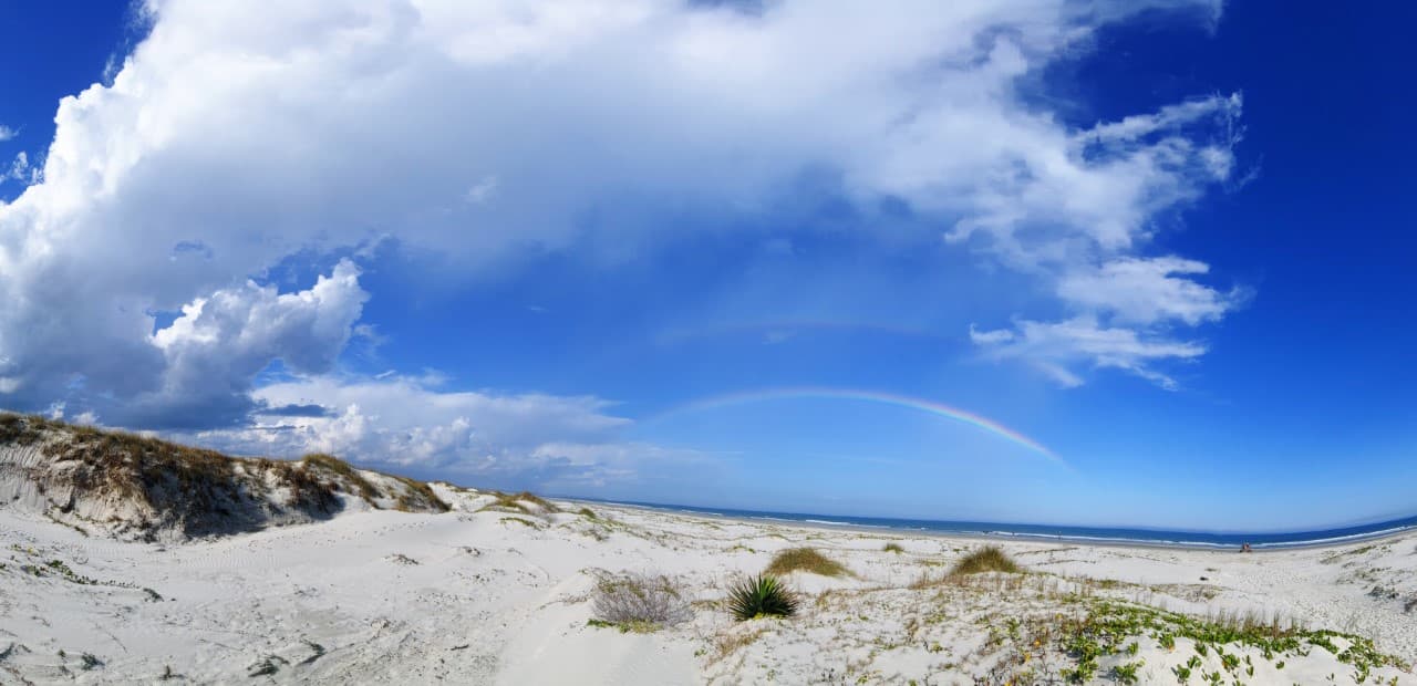 <b>Cumberland Island </b>
<br>
<b>Sitio web</b>:
<a href="https://www.nps.gov/cuis/index.htm">https://www.nps.gov/cuis/index.htm</a>
<br>
<b><a href="https://maps.app.goo.gl/7YPvVE9Ee71ytyt9A">Cómo llegar</a> </b>
<br>
<br>Sin automóviles y con pocas casas en esta playa apartada, la isla Cumberland es el escape perfecto de verano. Podrás caminar hasta las ruinas de una antigua mansión, buscar conchas marinas y observar los caballos salvajes.
