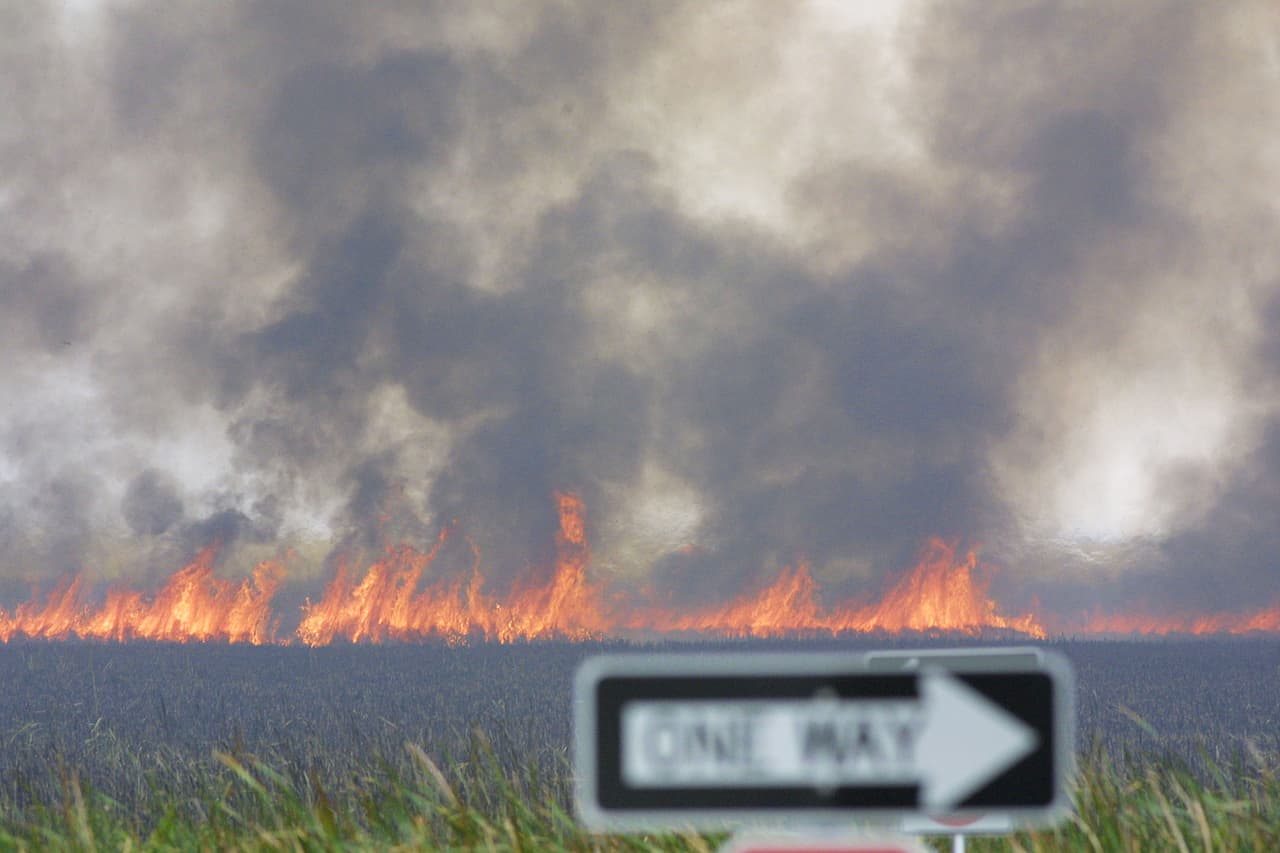 Declaran estado de emergencia en Florida por más de 100 incendios